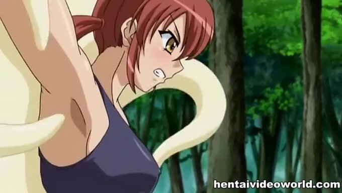 18+ Najstnic V Hd Hentai Videoposnetkih